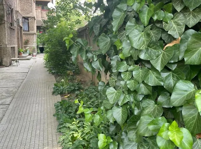 Old City Centre - Unforgettable House